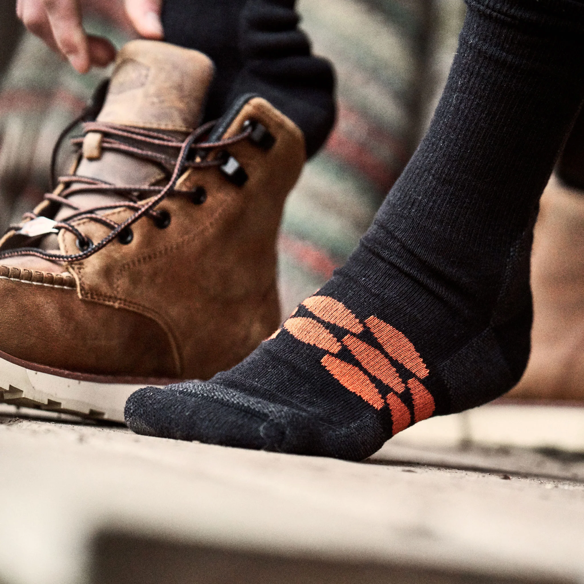 Everyday Socks (3 Pack) - Image 5